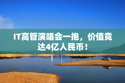 IT高管演唱会一抱，价值竟达4亿人民币！