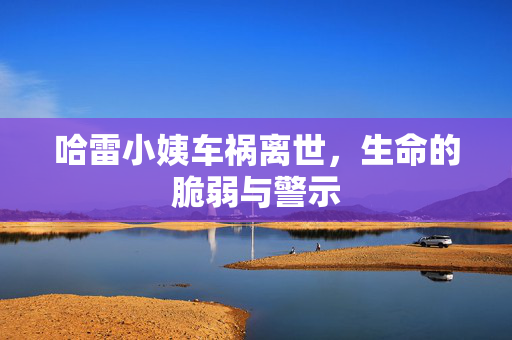 哈雷小姨车祸离世，生命的脆弱与警示