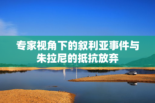 专家视角下的叙利亚事件与朱拉尼的抵抗放弃
