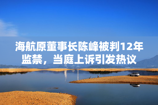 海航原董事长陈峰被判12年监禁，当庭上诉引发热议