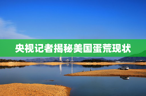 央视记者揭秘美国蛋荒现状