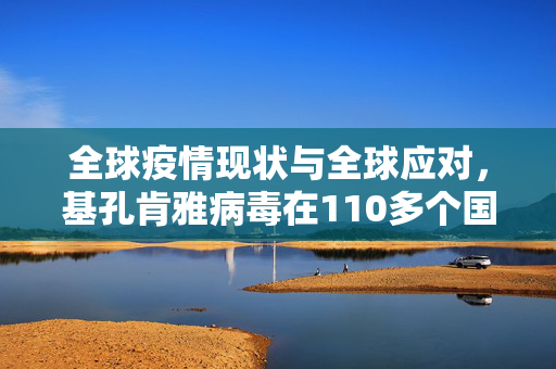 全球疫情现状与全球应对，基孔肯雅病毒在110多个国家的传播情况