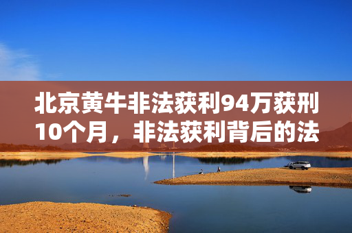 北京黄牛非法获利94万获刑10个月，非法获利背后的法律警示