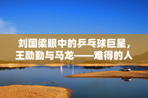 刘国梁眼中的乒乓球巨星，王励勤与马龙——难得的人才的对比与评价