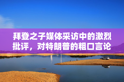 拜登之子媒体采访中的激烈批评，对特朗普的粗口言论