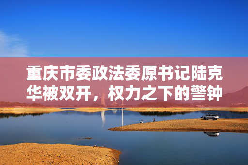 重庆市委政法委原书记陆克华被双开，权力之下的警钟与反思