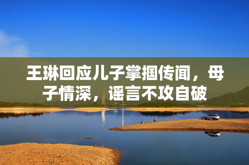 王琳回应儿子掌掴传闻，母子情深，谣言不攻自破