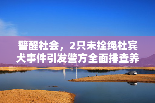 警醒社会，2只未拴绳杜宾犬事件引发警方全面排查养狗人