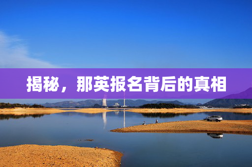 揭秘，那英报名背后的真相