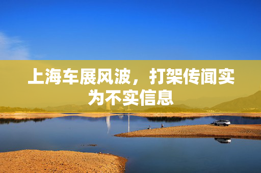 上海车展风波，打架传闻实为不实信息