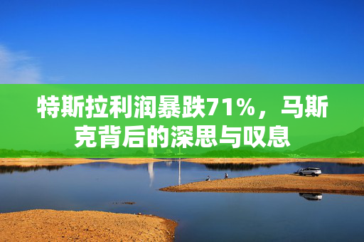 特斯拉利润暴跌71%，马斯克背后的深思与叹息