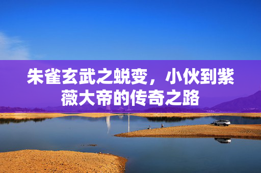 朱雀玄武之蜕变，小伙到紫薇大帝的传奇之路