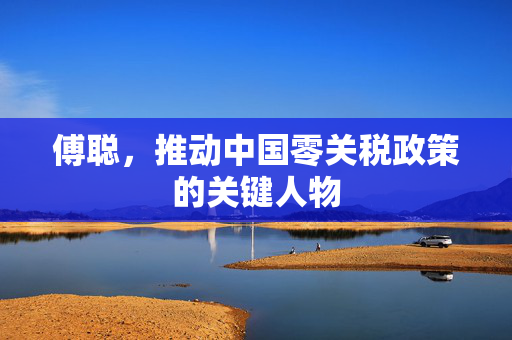 傅聪，推动中国零关税政策的关键人物