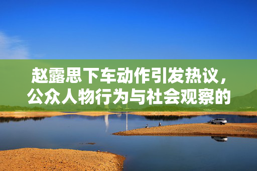 赵露思下车动作引发热议，公众人物行为与社会观察的交织