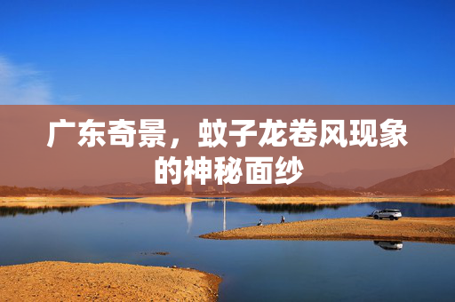 广东奇景，蚊子龙卷风现象的神秘面纱