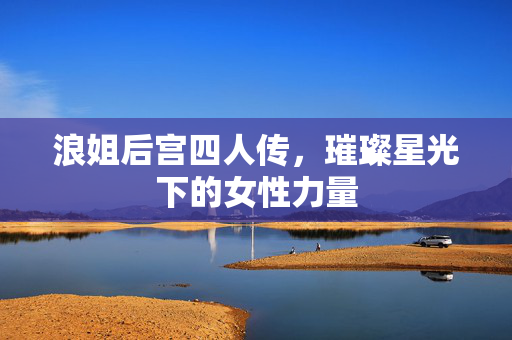 浪姐后宫四人传，璀璨星光下的女性力量