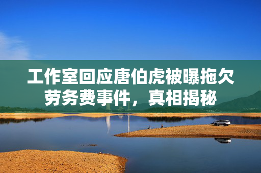 工作室回应唐伯虎被曝拖欠劳务费事件，真相揭秘