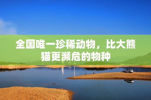 全国唯一珍稀动物，比大熊猫更濒危的物种