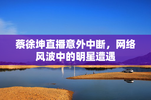蔡徐坤直播意外中断，网络风波中的明星遭遇