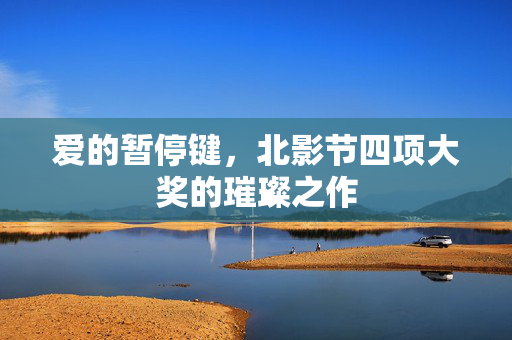 爱的暂停键，北影节四项大奖的璀璨之作