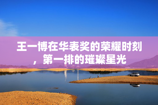 王一博在华表奖的荣耀时刻，第一排的璀璨星光