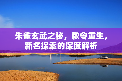 朱雀玄武之秘，敕令重生，新名探索的深度解析