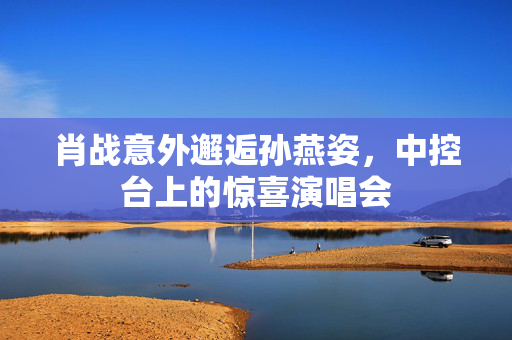 肖战意外邂逅孙燕姿，中控台上的惊喜演唱会