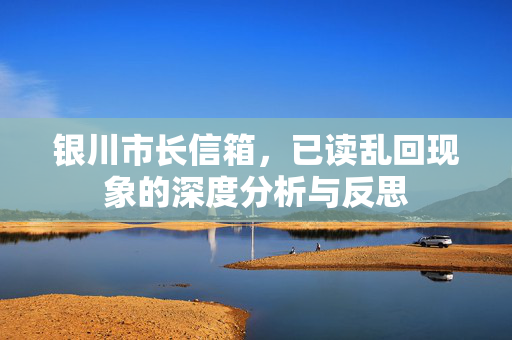 银川市长信箱，已读乱回现象的深度分析与反思