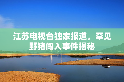 江苏电视台独家报道，罕见野猪闯入事件揭秘