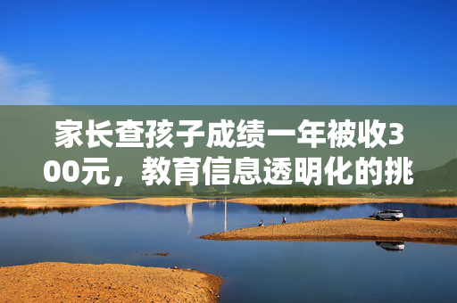 家长查孩子成绩一年被收300元，教育信息透明化的挑战与思考