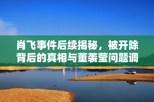 肖飞事件后续揭秘，被开除背后的真相与董袭莹问题调查进展