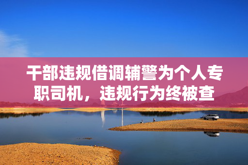 干部违规借调辅警为个人专职司机，违规行为终被查