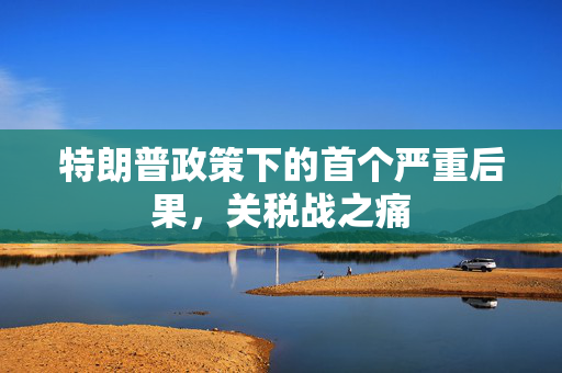 特朗普政策下的首个严重后果，关税战之痛
