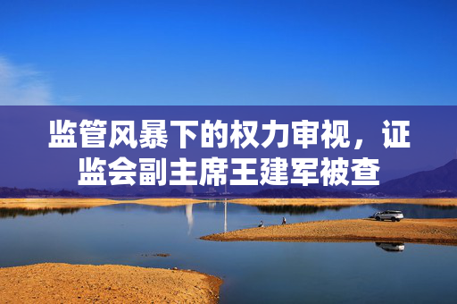 监管风暴下的权力审视，证监会副主席王建军被查
