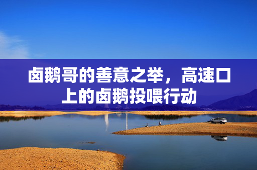 卤鹅哥的善意之举，高速口上的卤鹅投喂行动