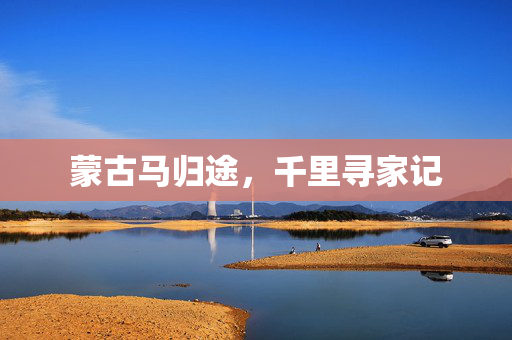 蒙古马归途，千里寻家记