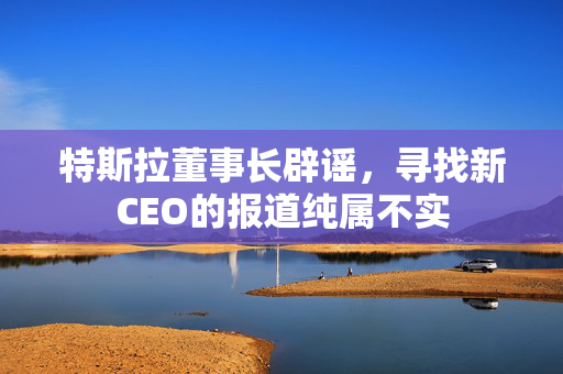 特斯拉董事长辟谣，寻找新CEO的报道纯属不实