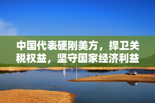 中国代表硬刚美方，捍卫关税权益，坚守国家经济利益