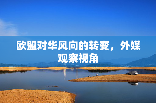 欧盟对华风向的转变，外媒观察视角