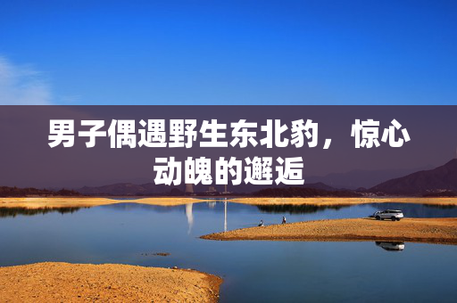 男子偶遇野生东北豹，惊心动魄的邂逅