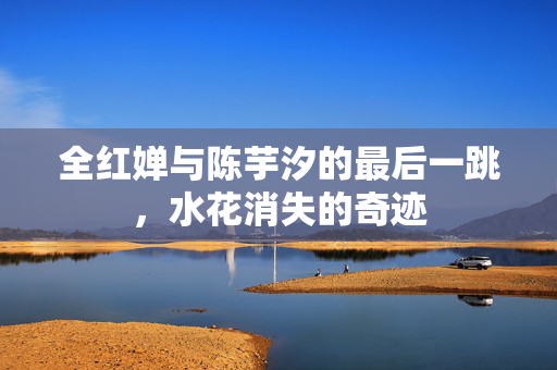 全红婵与陈芋汐的最后一跳，水花消失的奇迹