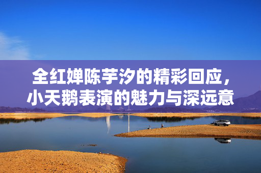 全红婵陈芋汐的精彩回应，小天鹅表演的魅力与深远意义