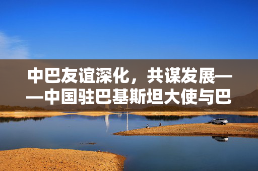 中巴友谊深化，共谋发展——中国驻巴基斯坦大使与巴总理会面