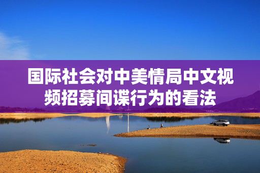 国际社会对中美情局中文视频招募间谍行为的看法